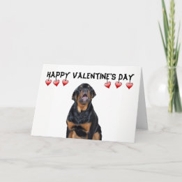 Valentine's Day Grumpy Rottweiler Card