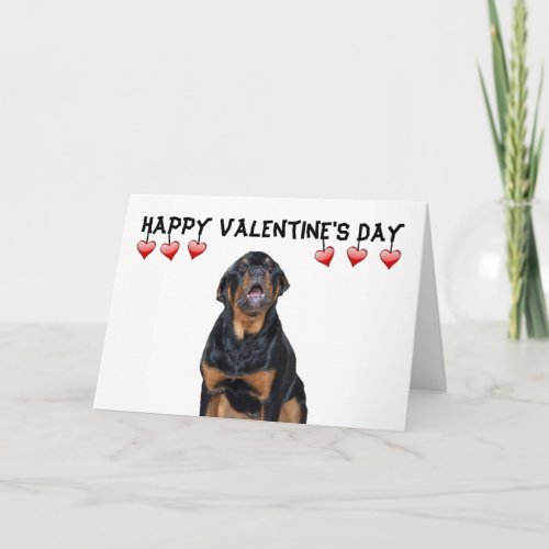 Valentines Day Grumpy Rottweiler Card