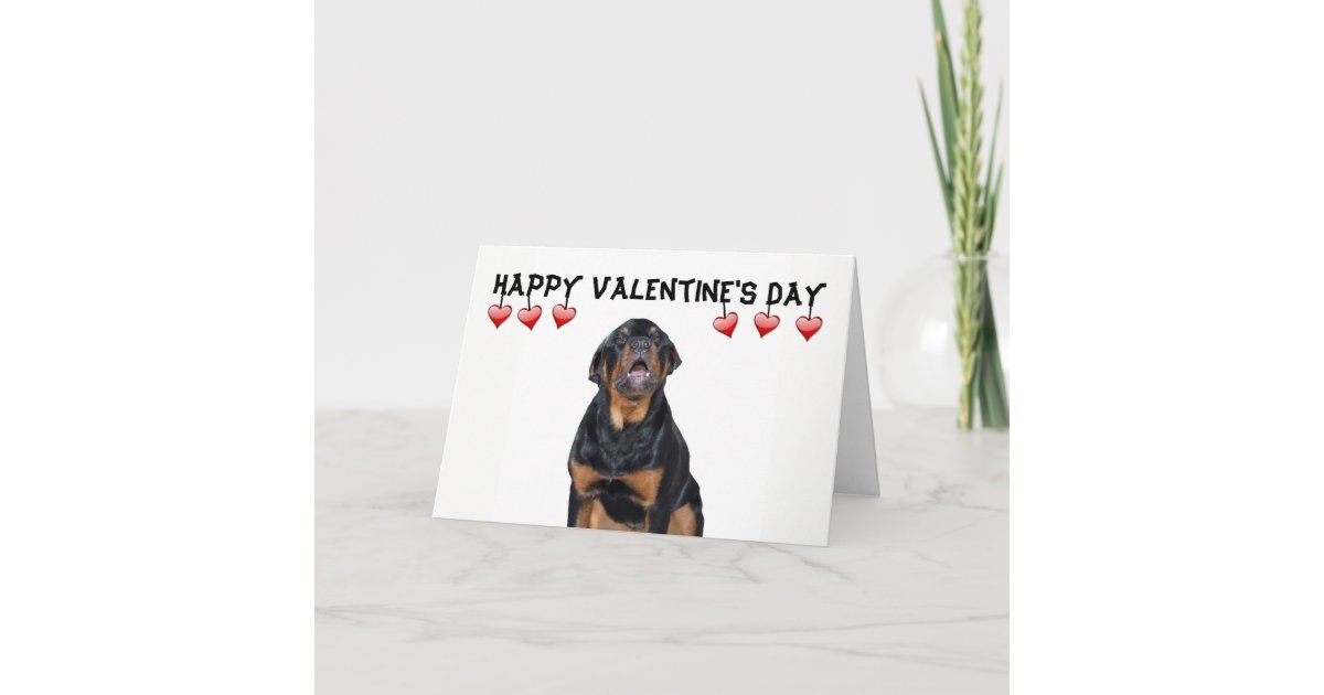 Valentine's Day Grumpy Rottweiler Card | Zazzle