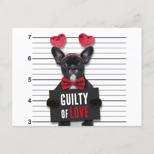 Valentine's Day Guilty Love Dog Funny Mugshot Holiday Postcard