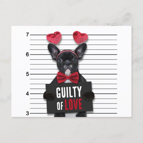 Valentines Day Guilty Love Dog Funny Mugshot Holiday Postcard