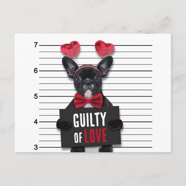 Valentine's Day Guilty Love Dog Funny Mugshot Holiday Postcard (Front)