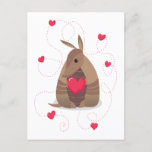 Valentine's Day Heart Texas Armadillo Postcard