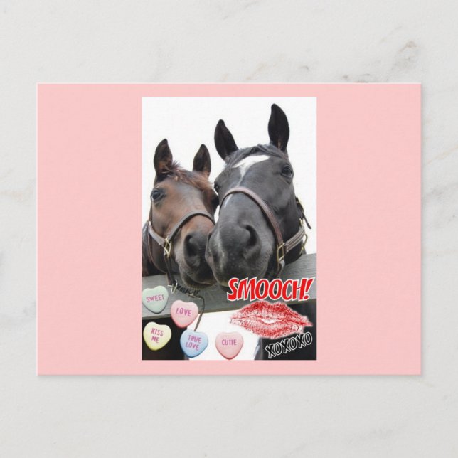 Valentine's Day Horses Holiday Postcard (Front)
