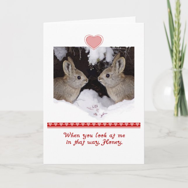 Valentine's Day, Humorous, Two Rabbits Holiday Card (Front)