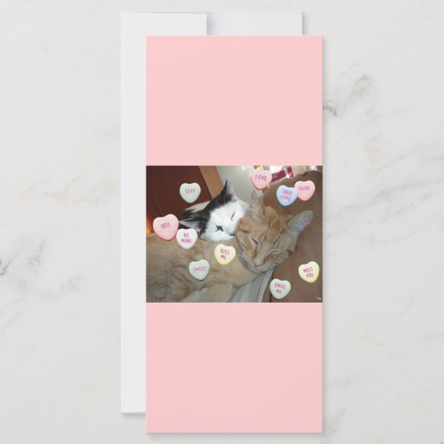 Valentine's Day Kittens (Front)