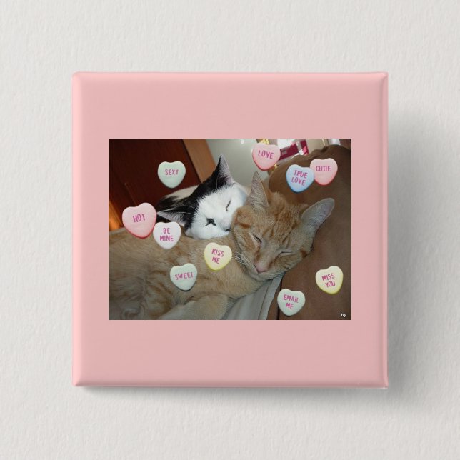 Valentine's Day Kittens Pinback Button (Front)