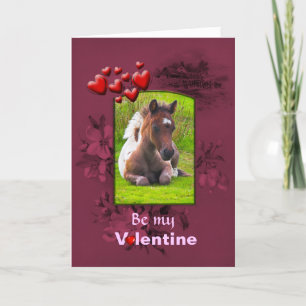 Valentines Day, Kneeling Dartmoor Pony Foal Holiday Card