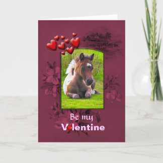 Valentines Day, Kneeling Dartmoor Pony Foal Holiday Card