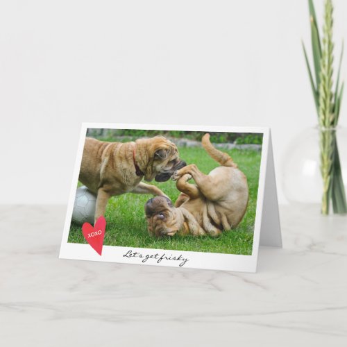 Valentines Day Lets Get Frisky Dog Photo Holiday Card