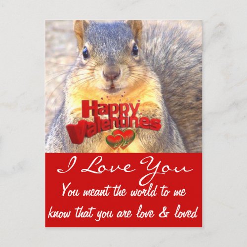 Valentines Day Love_ Holiday Postcard