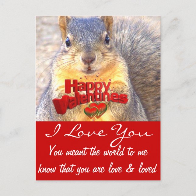 Valentine's Day Love_ Holiday Postcard (Front)