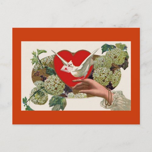 Valentines Day Love Letter Heart Postcard