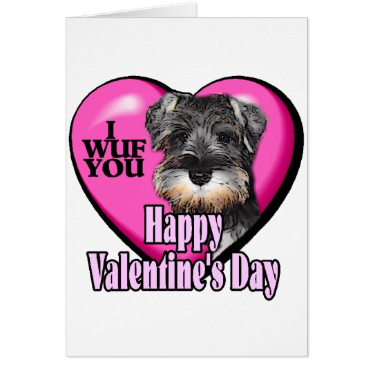 Valentines Day Miniature Schnauzer Card 