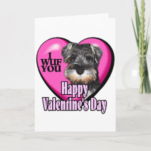 Valentine's Day Miniature Schnauzer Holiday Card