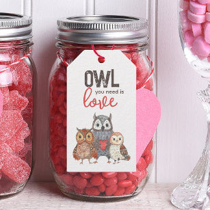 Valentine's Day Owls Cute Gift Tags