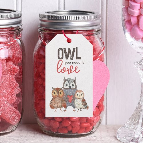 Valentines Day Owls Cute Gift Tags