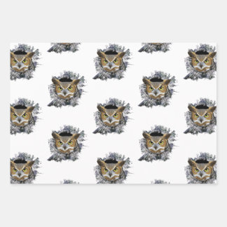 Valentine's Day Owls Cute Wrapping Paper Sheets