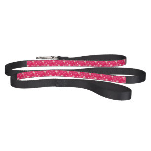 Valentine's Day Pattern With Cupid Pet Leash