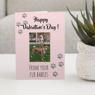 Valentine's Day Photo Dog Cat Pet Fur Babies Card
