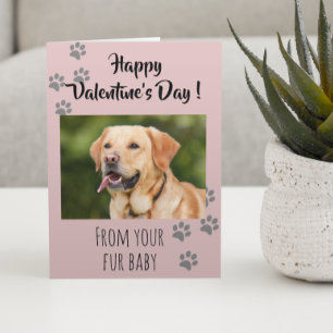 Valentine's Day Photo Dog Cat Pet Fur Baby Card