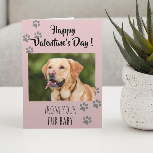 Valentines Day Photo Dog Cat Pet Fur Baby Card