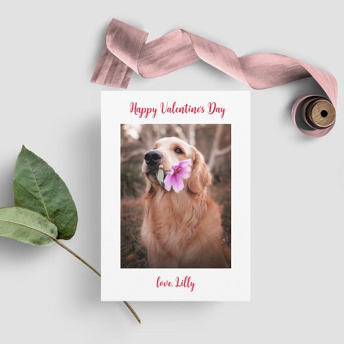 Valentines Day Photo Dog Holiday Card