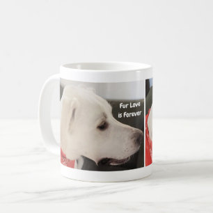 Valentine's Day Photo of Cute Dog Profile Fur Love Coffee Mug