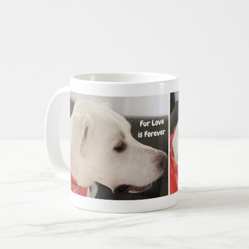 Valentines Day Photo of Cute Dog Profile Fur Love Coffee Mug