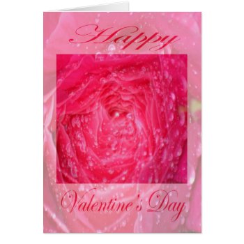 Valentines Day Pink Rose With Rain Drops by martinspaperstore at Zazzle