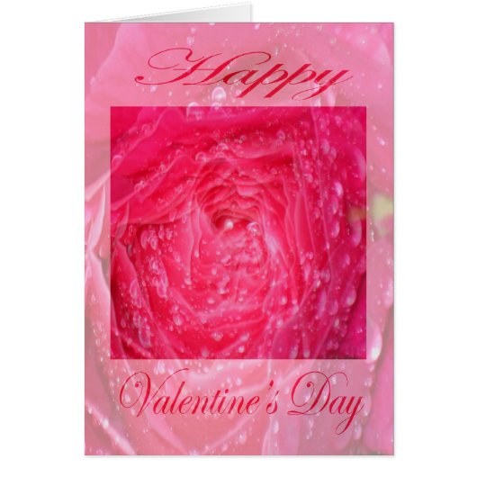 Valentines Day Pink Rose with Rain Drops Cards (Front)