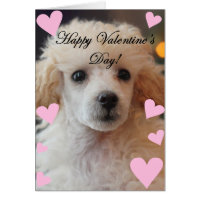 Valentine's Day Poodle  Dog Card