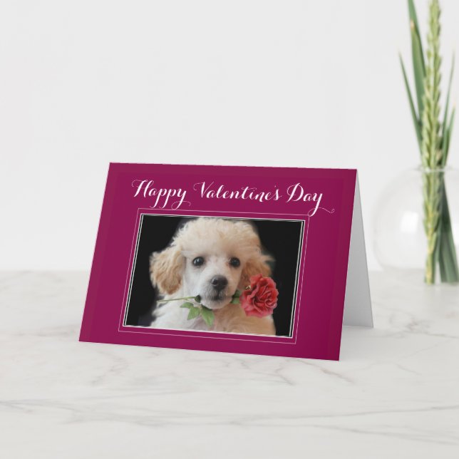 Valentine's Day poodle greeting card (Front)