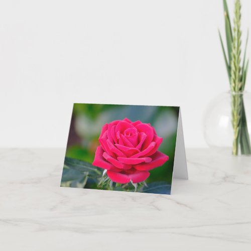  Valentines Day Red Rose Romantic Card