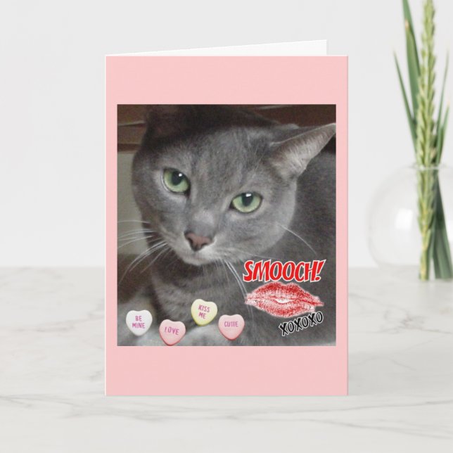 Valentine's Day Russian Blue Gray Cat Holiday Card (Front)