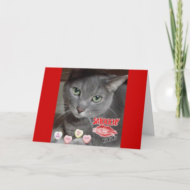 Valentine's Day Russian Blue Gray Cat Holiday Card (Front)