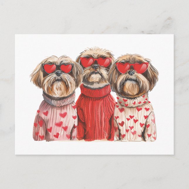 Valentines Day Shih Tzu Dogs Postcard (Front)