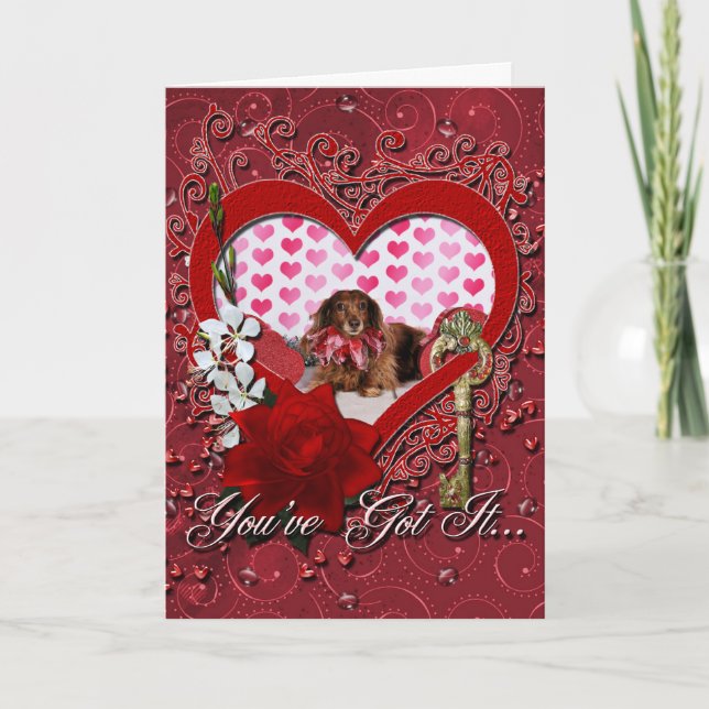 Valentine's Day - Sophie - Dachshund Holiday Card (Front)