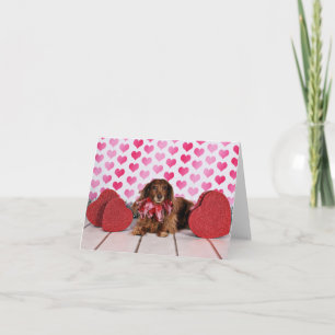 Valentine's Day - Sophie - Dachshund Holiday Card