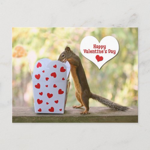 Valentines Day Squirrel Holiday Postcard