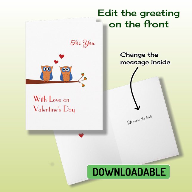 Valentine's Day two cute blue owls Holiday Card (Creator Uploaded)