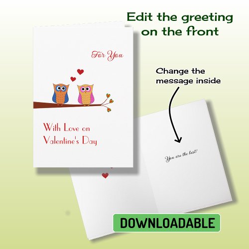 Valentines Day two cute owls Holiday Card