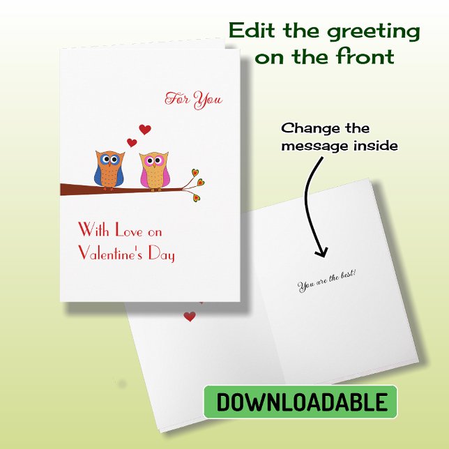 Valentine's Day two cute owls Holiday Card (Creator Uploaded)