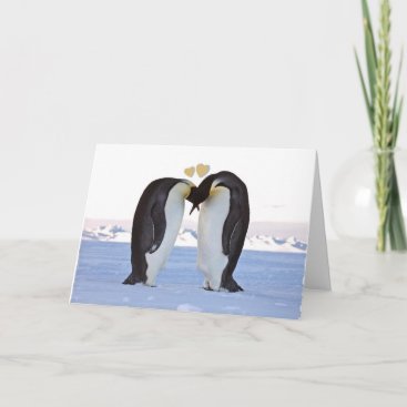 Valentine's Day, Two Penguins - Two Hearts Holiday Card
