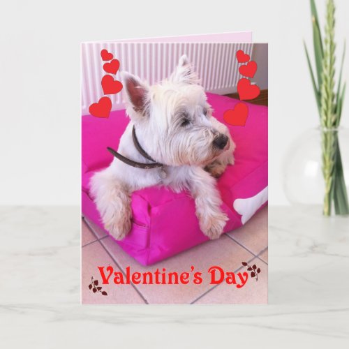 Valentines Day Westie Card