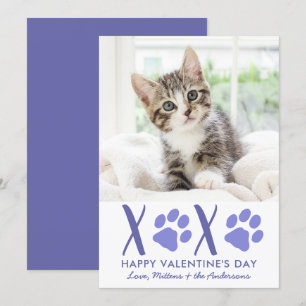 Valentines Day XOXO Cute Kitten Cat Pet Photo Holiday Card