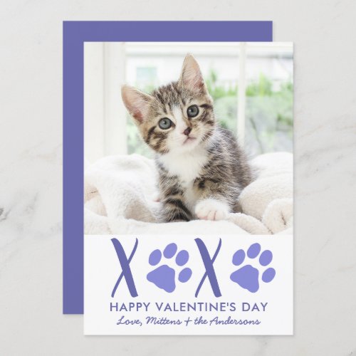 Valentines Day XOXO Cute Kitten Cat Pet Photo Holiday Card