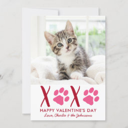Valentines Day XOXO Cute Kitten Pet Cat Photo Holiday Card | Zazzle