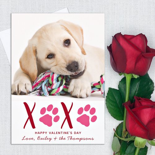 Valentines Day XOXO Cute Pet Puppy Dog Photo Holiday Card