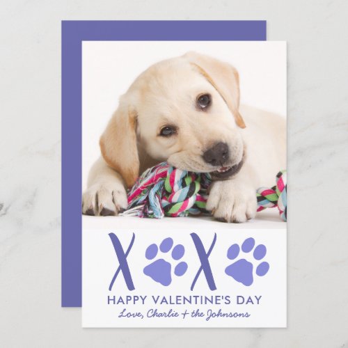 Valentines Day XOXO Cute Puppy Dog Pet Photo Holiday Card
